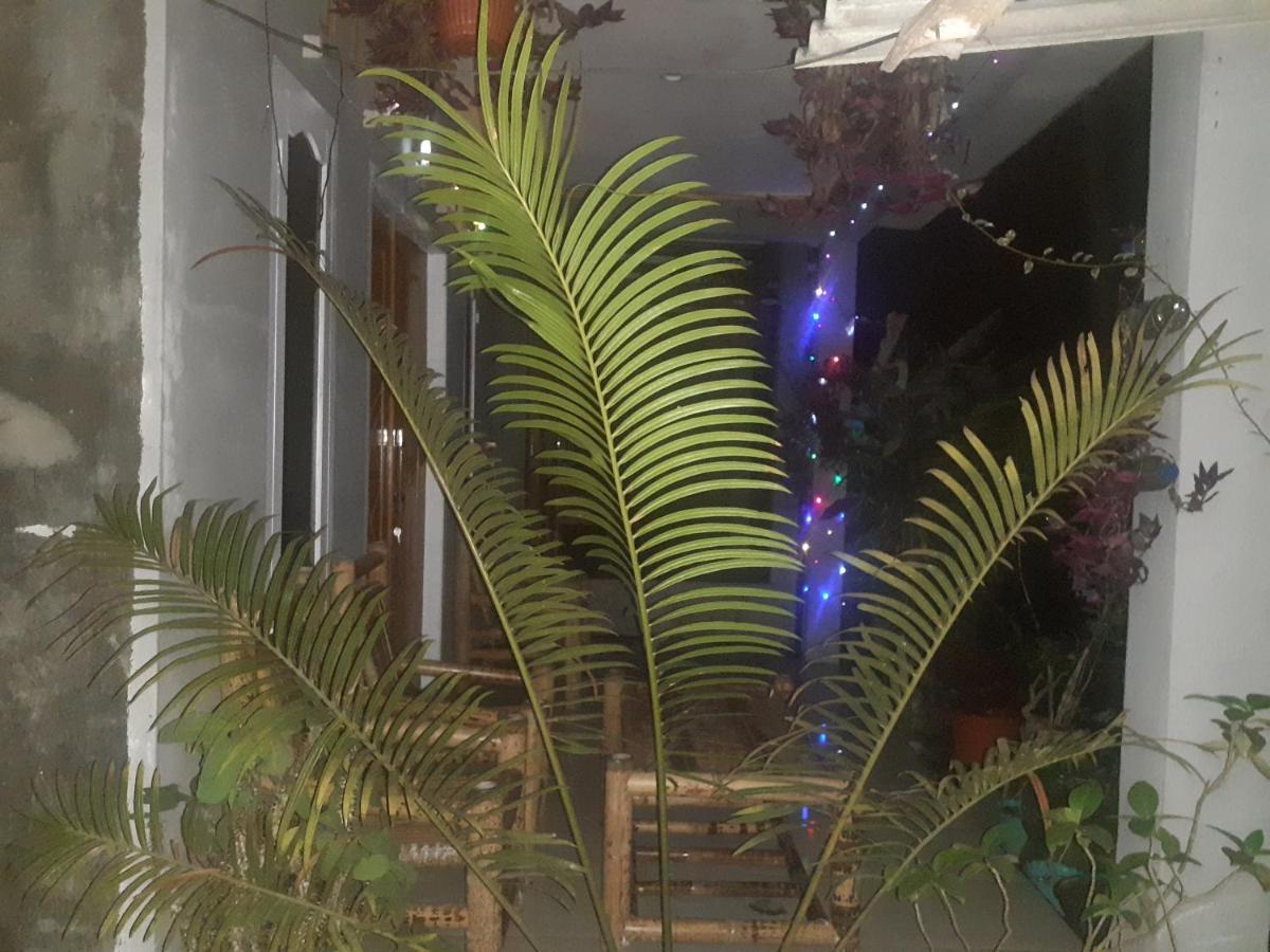 Eltari Homestay Tetebatu Exterior foto