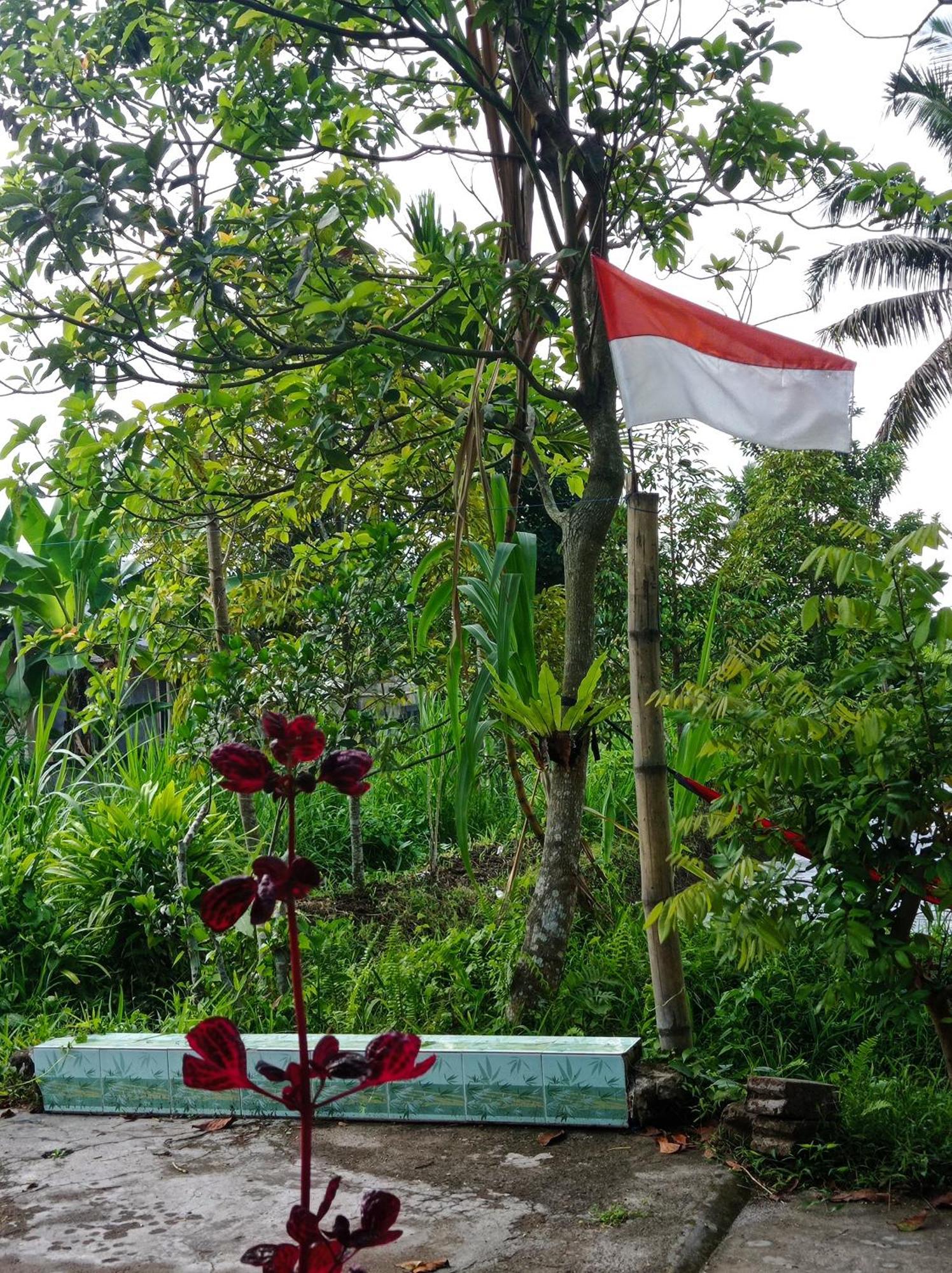 Eltari Homestay Tetebatu Zimmer foto